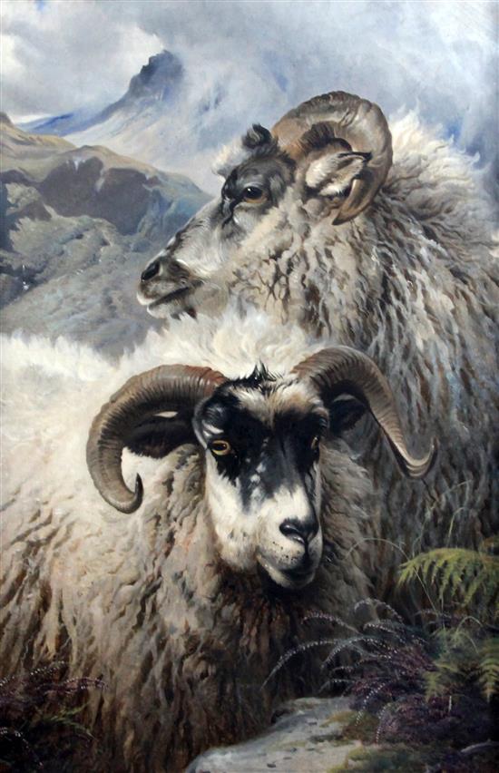 Thomas George Cooper (1836-1901) Sheep on a mountainside, 36 x 24in.
